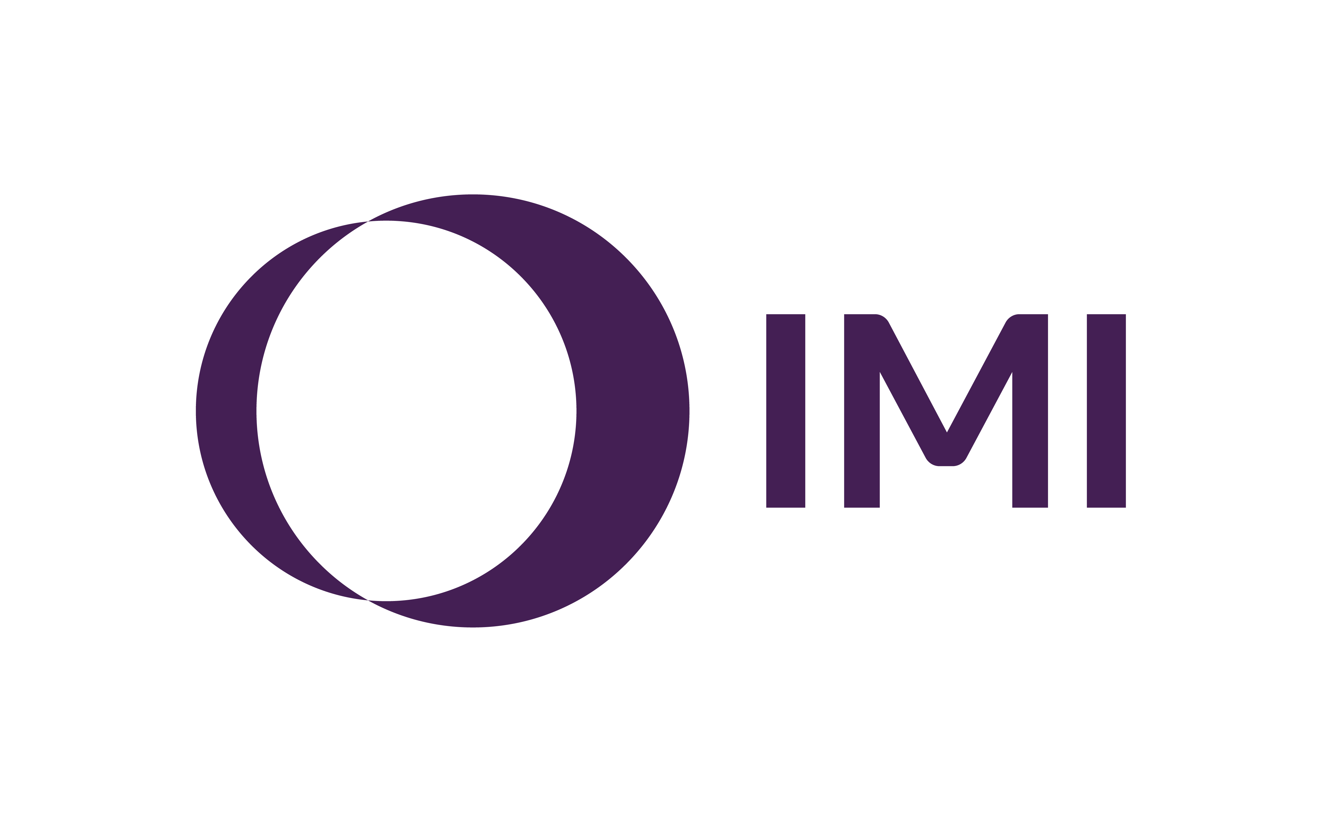 IMI Logo - new